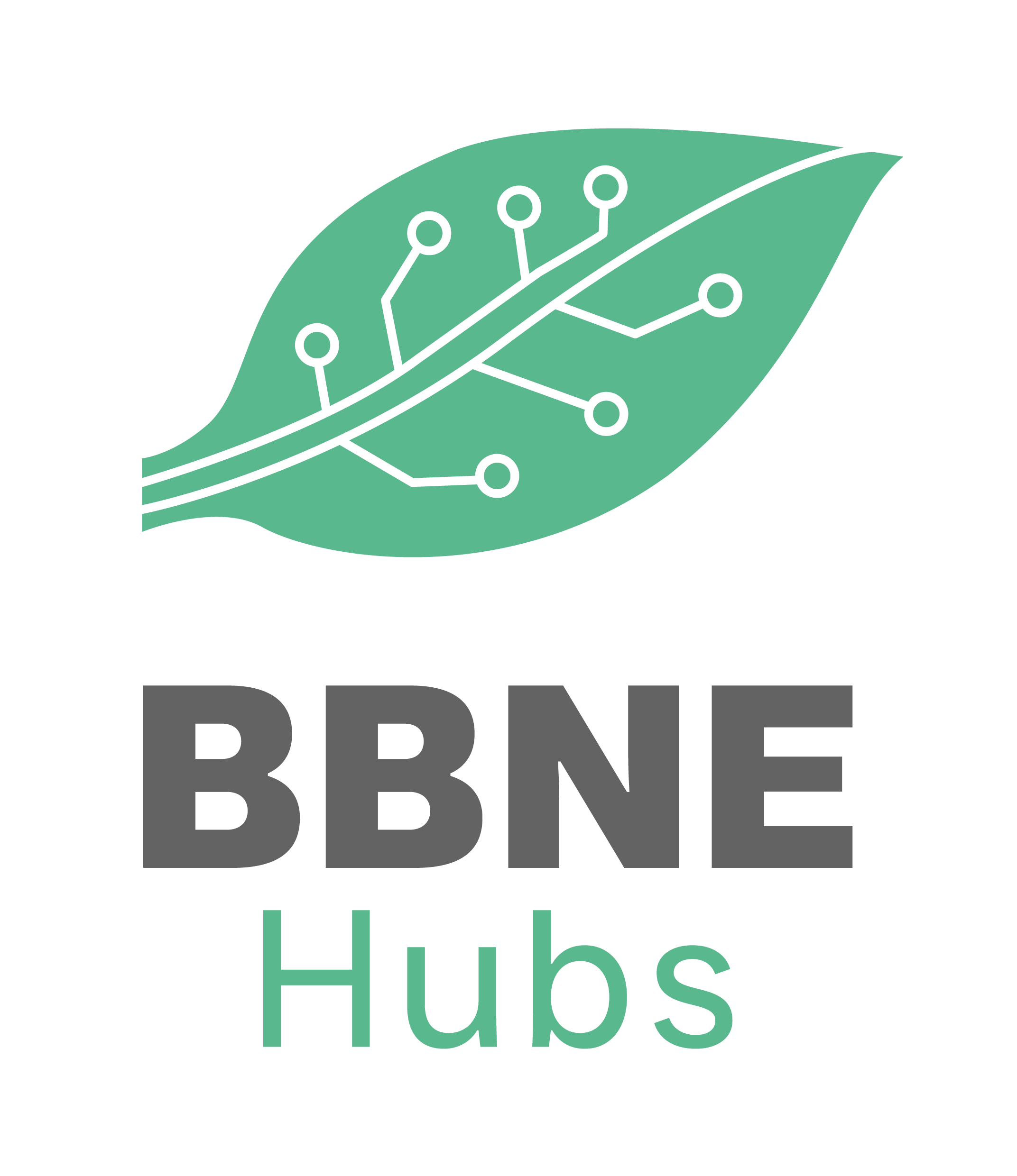 bbne hubs logo rgb