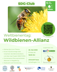 SDG-Club: Wildbienen-Allianz