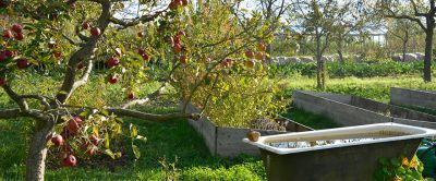 Mit Permakultur die Zukunft gestalten - Ein Einführungskurs