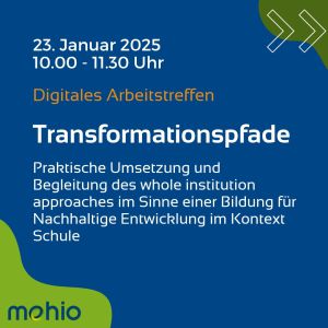 Digitales Arbeitstreffen: Transformationspfade - Erkenntnisse aus der Transformationsbegleitung von Schulen