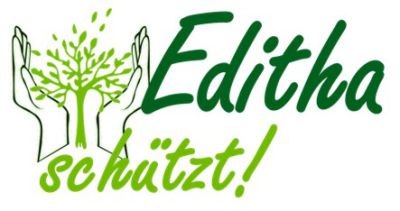 Kick off: Eine grüne Stadt für alle