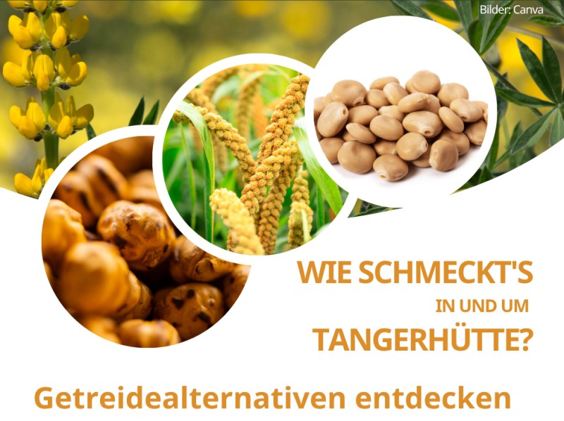 Wie schmeckt`s in und um Tangerhütte: Regionale Getreidealternativen entdecken