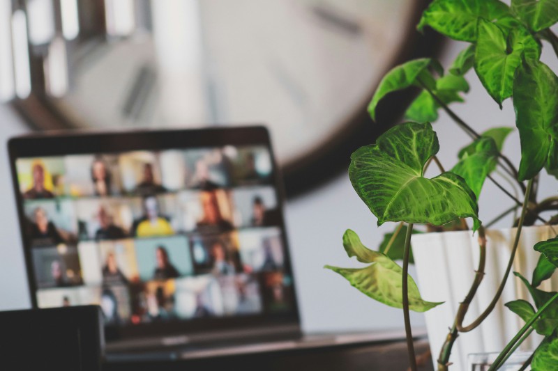 Laptop mit Videokonferenz-Kacheln, daneben eine Grünpflanze